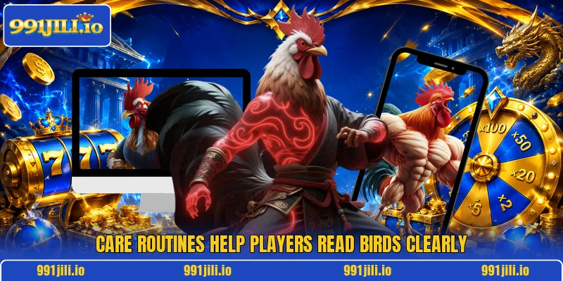 Care routines help players read birds clearly