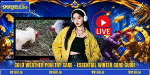 Cold Weather Poultry Care – Essential Winter Care Guide