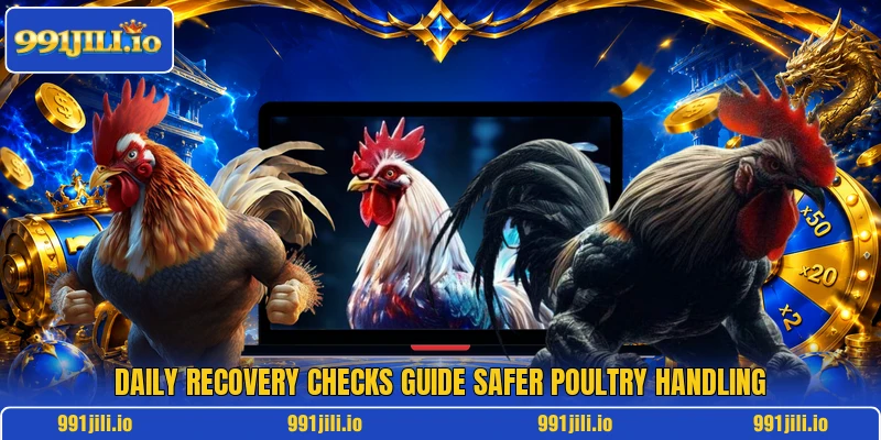 Daily recovery checks guide safer poultry handling